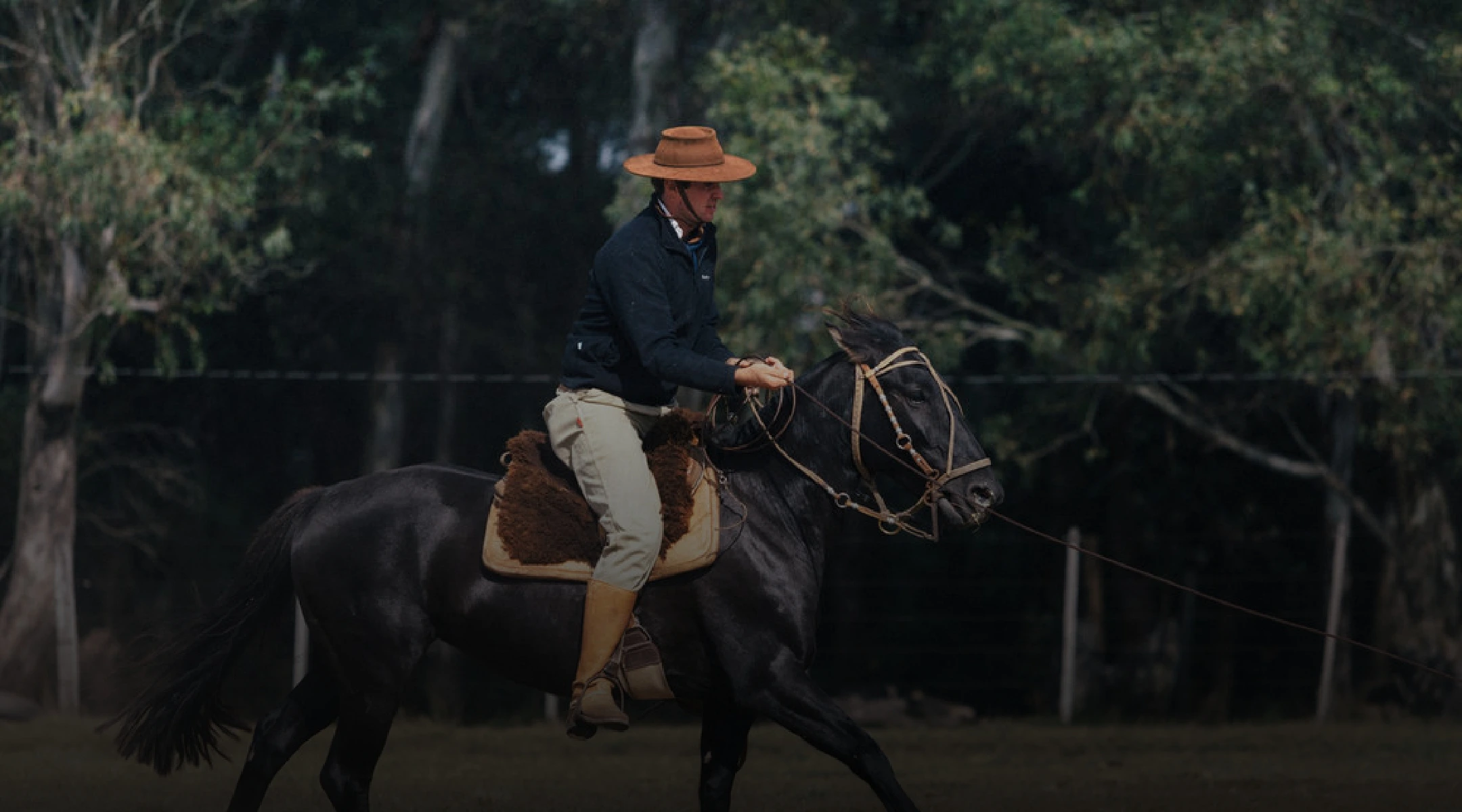 Seja bem vindo a Laço360°