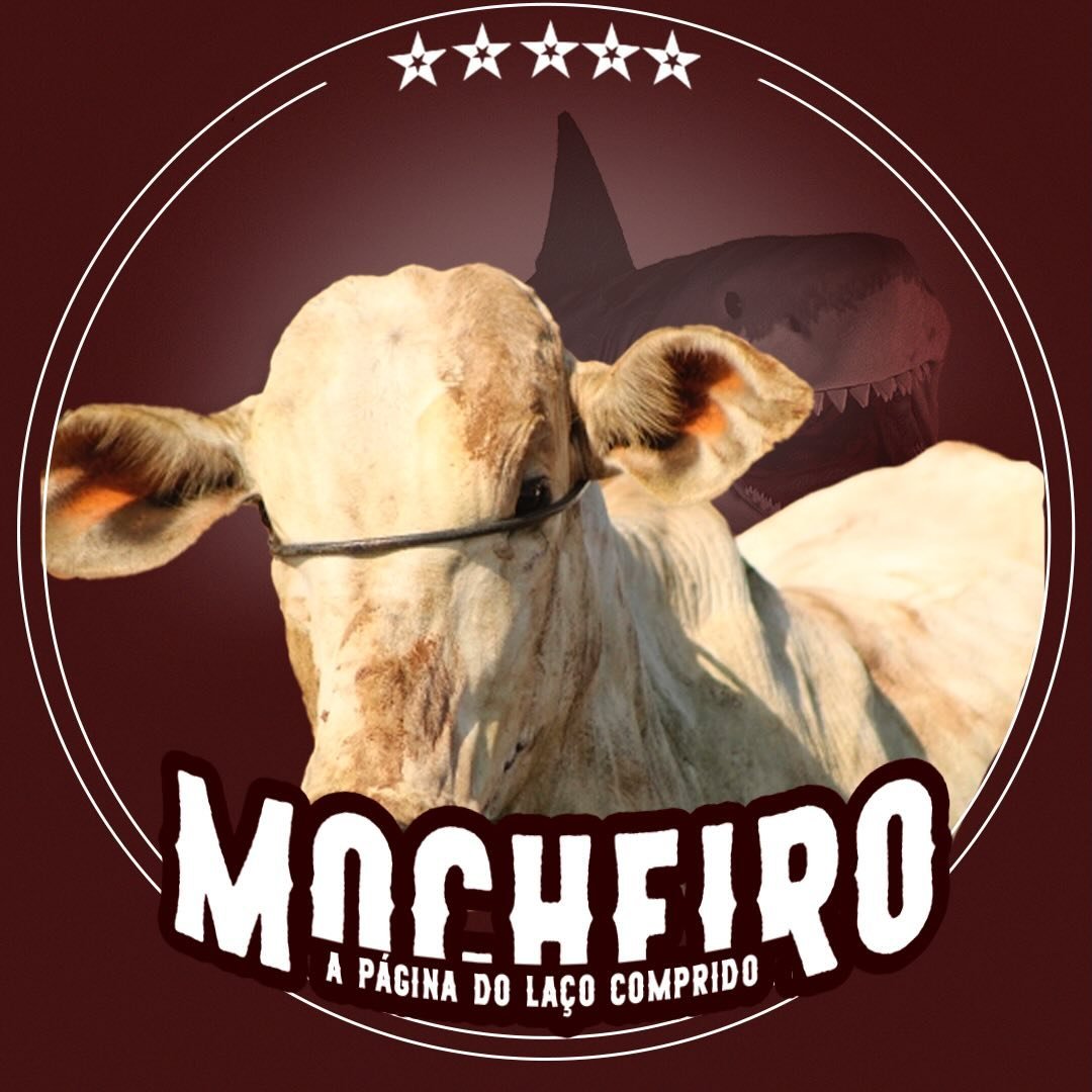 Mocheiro