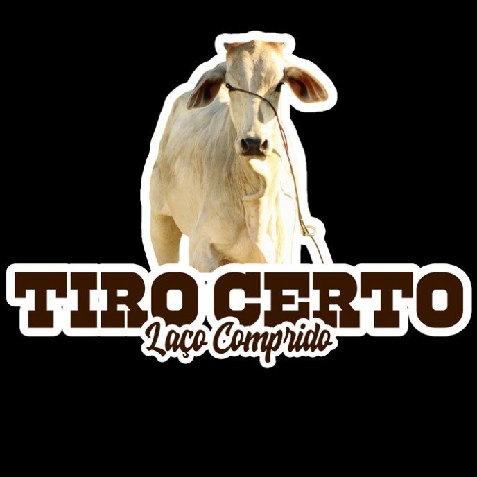 TIRO CERTO