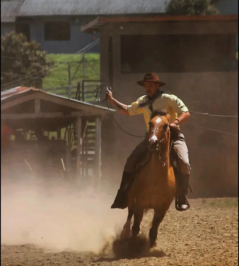 Foto de perfil de Higor Pinto