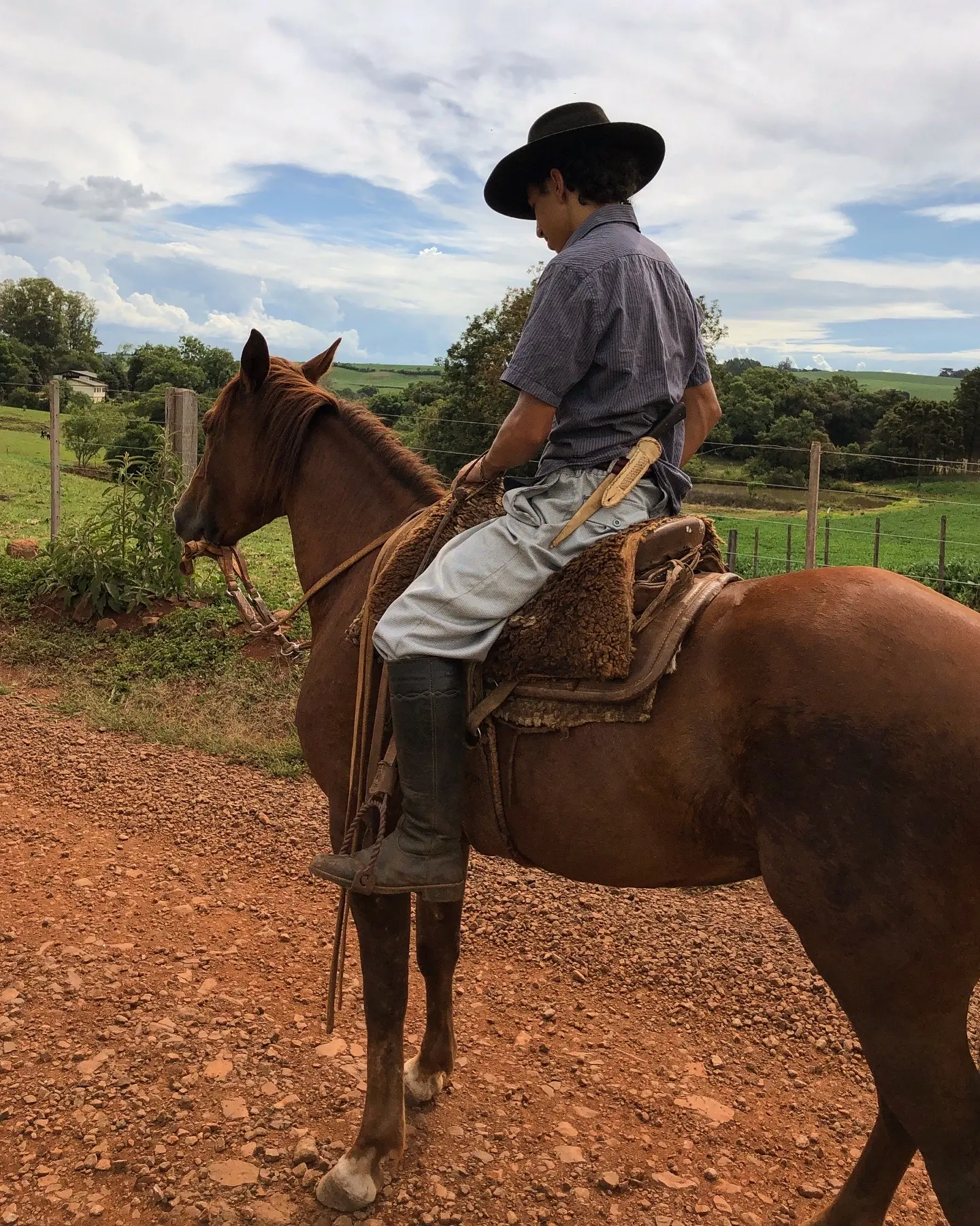 Foto de perfil de Otávio  Isele