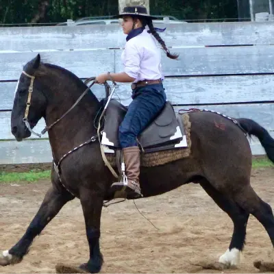 Foto de perfil de Sofia Trindade
